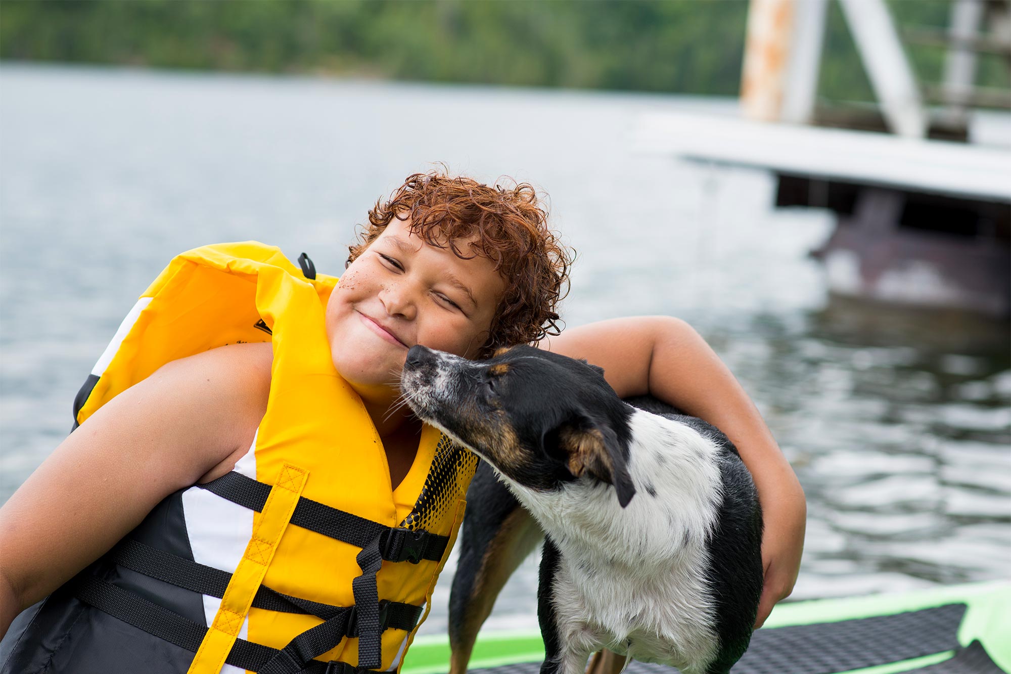 Summer Pet Safety