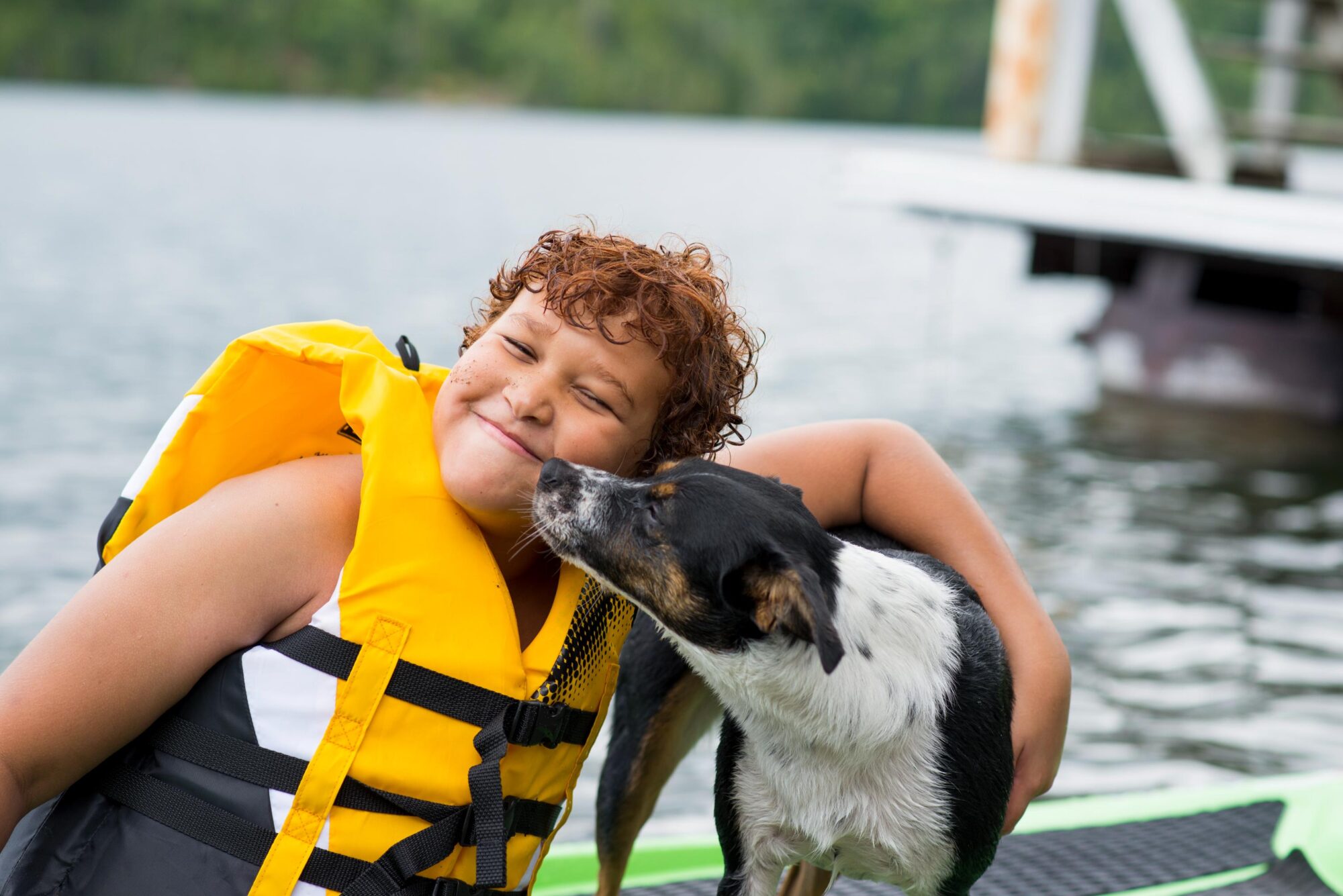 Summer Pet Safety